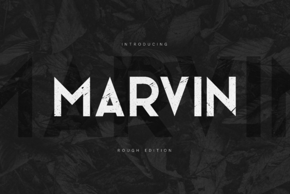 Marvin: A Bold Display Font for Web Design